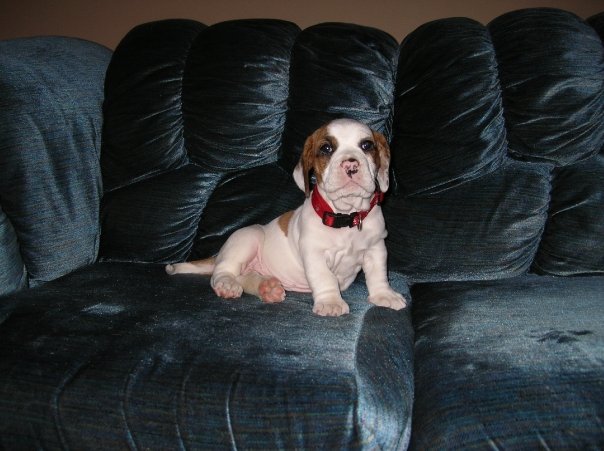 357_96564045496_6069_n