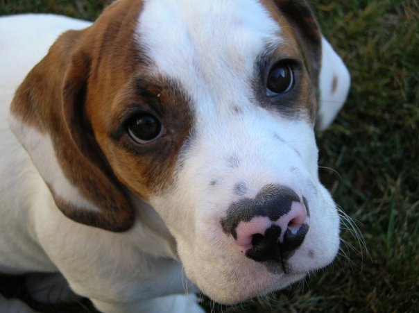 491_111193415496_1340_n