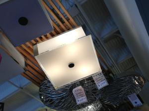 735157_10152664715445497_1972845001_n (2)