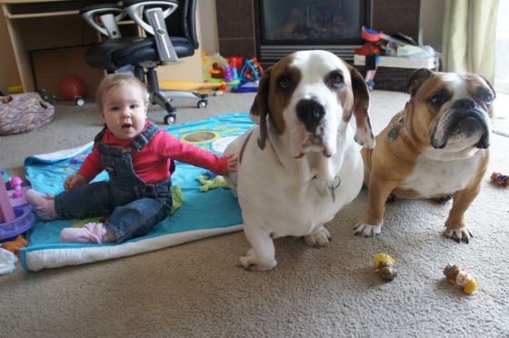 226875_10152610609700497_152936609_n