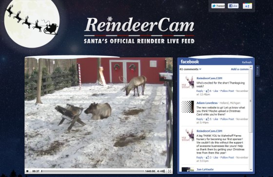 ReindeeerCam
