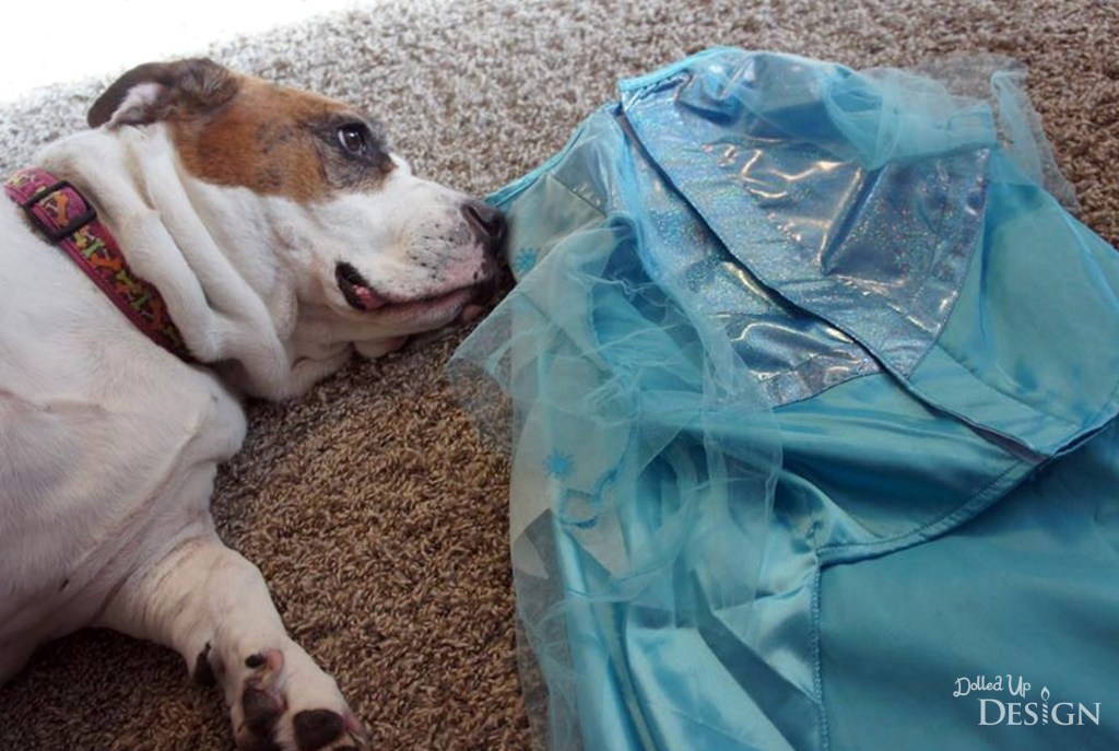 Petsmart Elsa Costume for Dogs