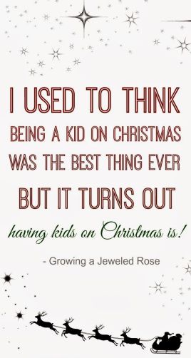 A Kid on Christmas_Growing a Jeweled Rose