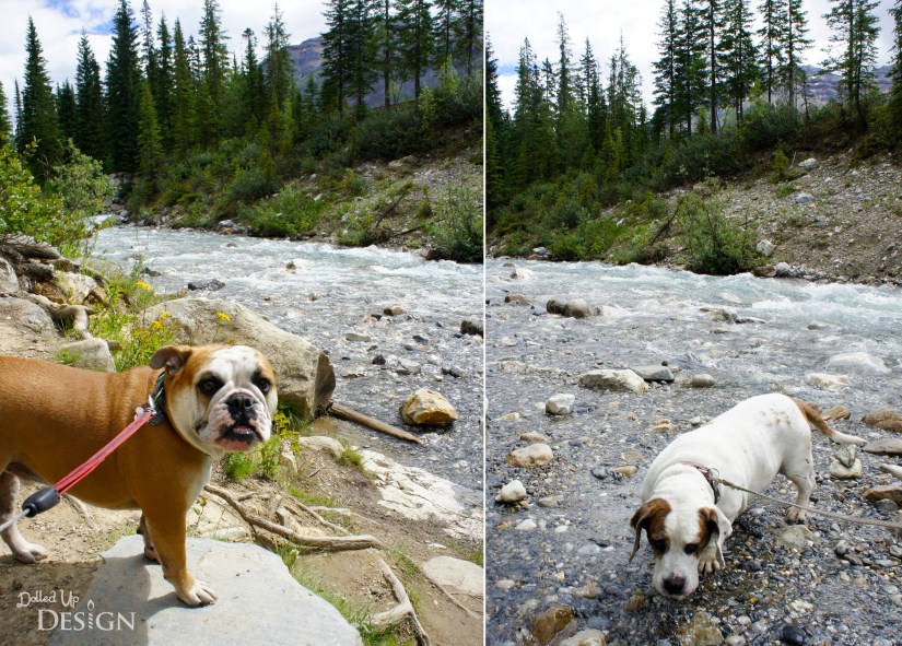 Our Banff Adventure_Day 2 Kootenay National Park Marble Canyon
