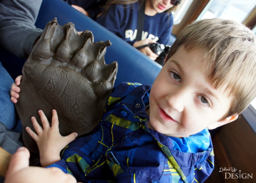 Our Banff Adventure_Day 3 Banff Lake Minnewanka Cruise Boat