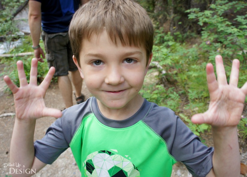 Our Banff Adventure_Day 6 Bow Valley Parkway Silverton Falls