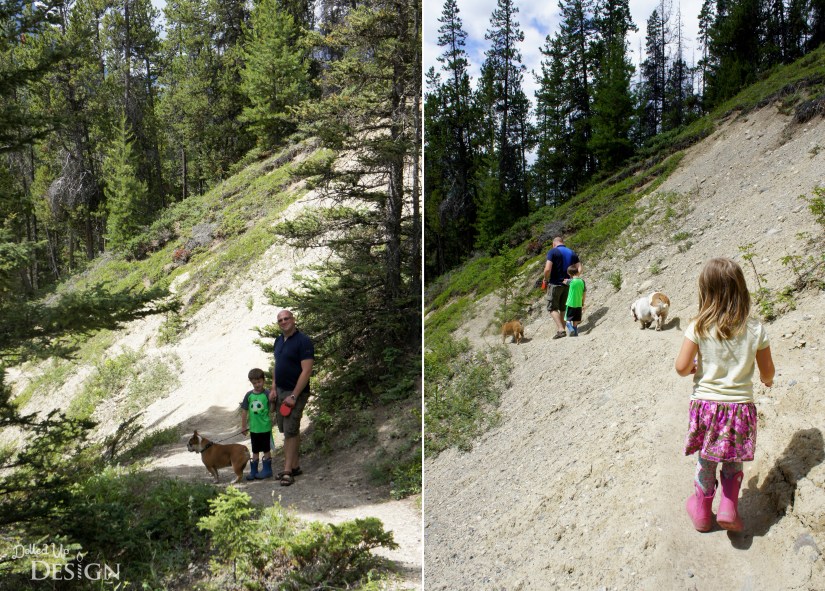 Our Banff Adventure_Day 6 Bow Valley Parkway Silverton Falls
