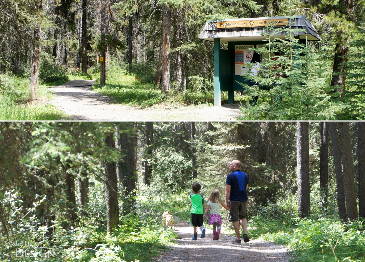 Our Banff Adventure_Day 6 Bow Valley Parkway Silverton Falls