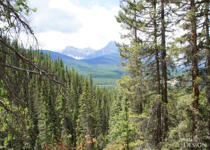 Our Banff Adventure_Day 6 Bow Valley Parkway Silverton Falls