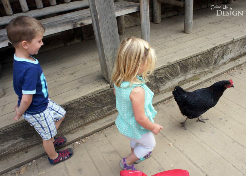 Fort Edmonton Park_Animals