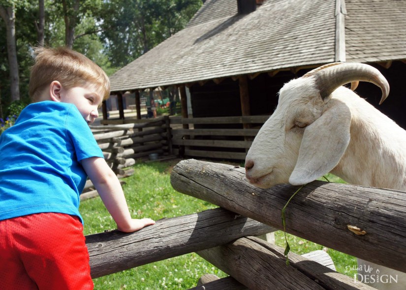 Fort Edmonton Park_Animals