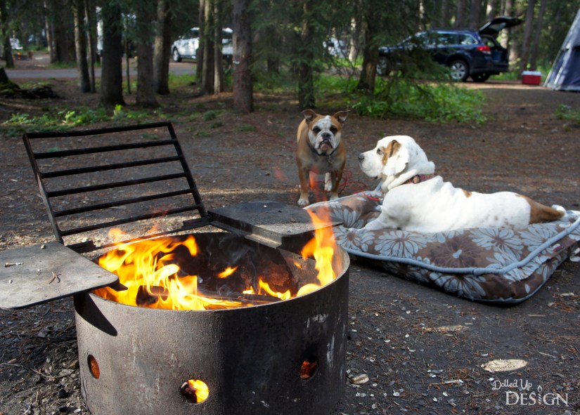 Johnston Canyon Campground Review