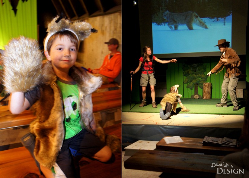 Johnston Canyon Campground Review_Amphitheatre Programs