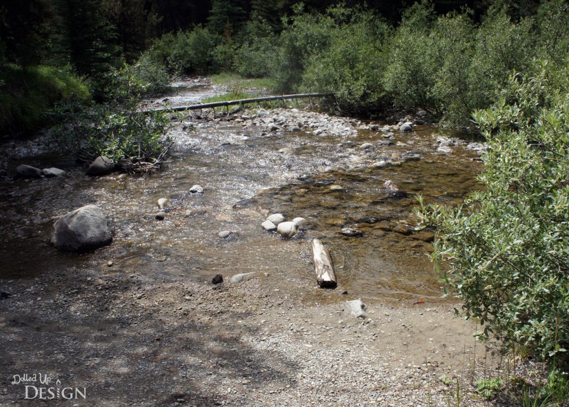 Our Banff Adventure_Day 6 Bow Valley Parkway Fireside Day Use Area