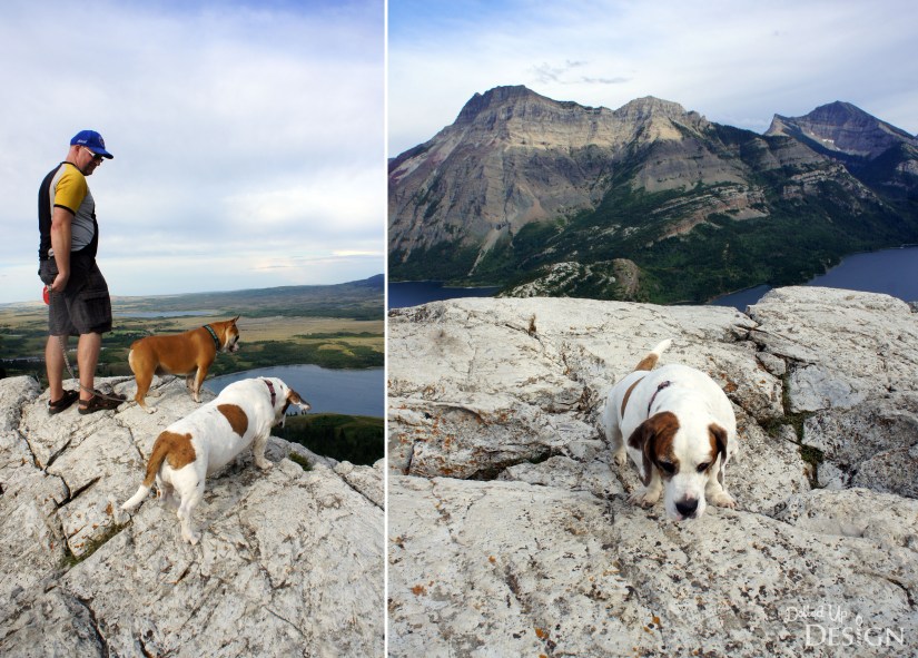 A Week in Waterton_Bear's Hump Hike