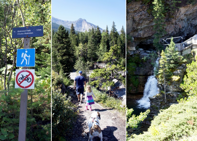 A Week in Waterton_Blakiston Falls