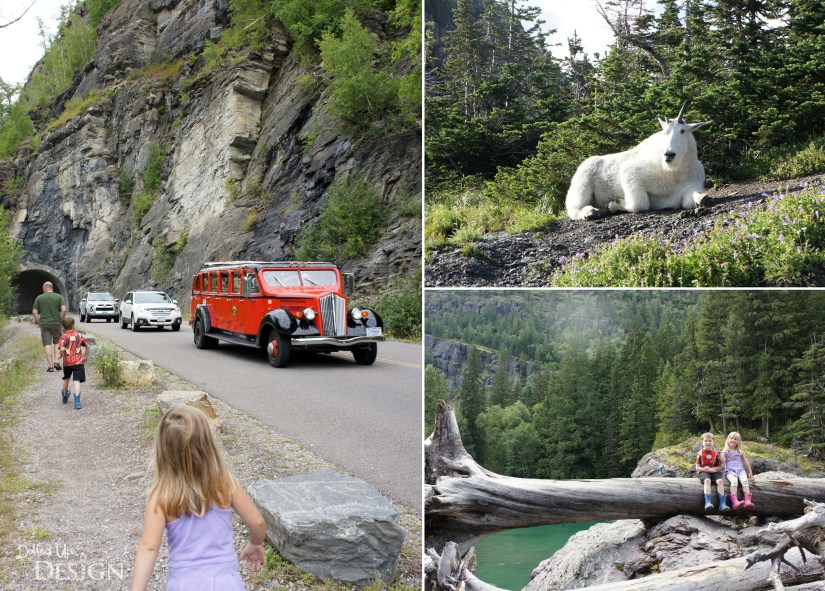 A Week in Waterton_Going to the Sun Road Glacier National Park