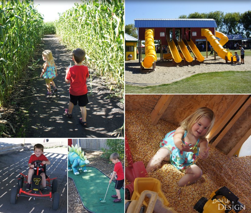 Great Summer Daycations In & Around Edmonton_Kraay Family Farms